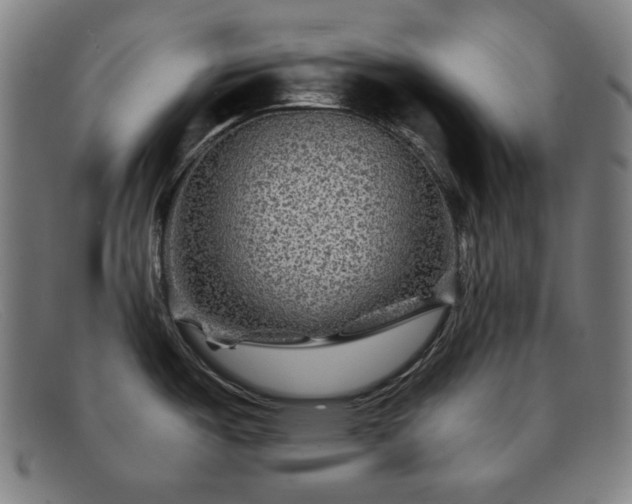 X0000091891487200709121430