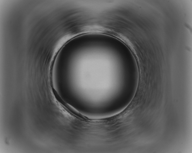 X0000091891488200709121430