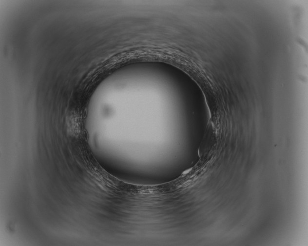 X0000091891490200709121429