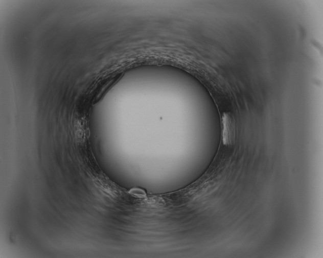 X0000091891491200709121429