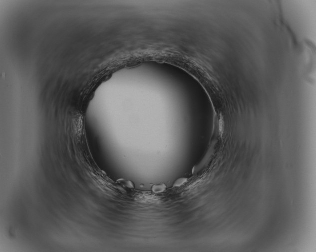 X0000091891492200709121429
