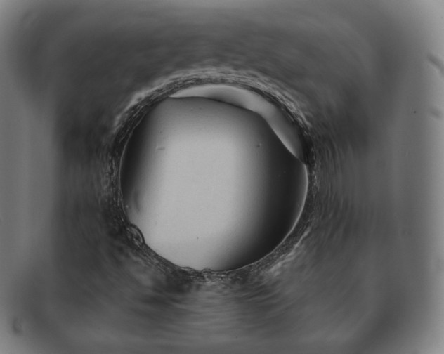 X0000091891494200709121429