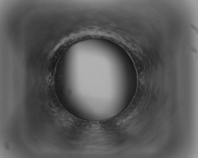 X0000091891495200709121429