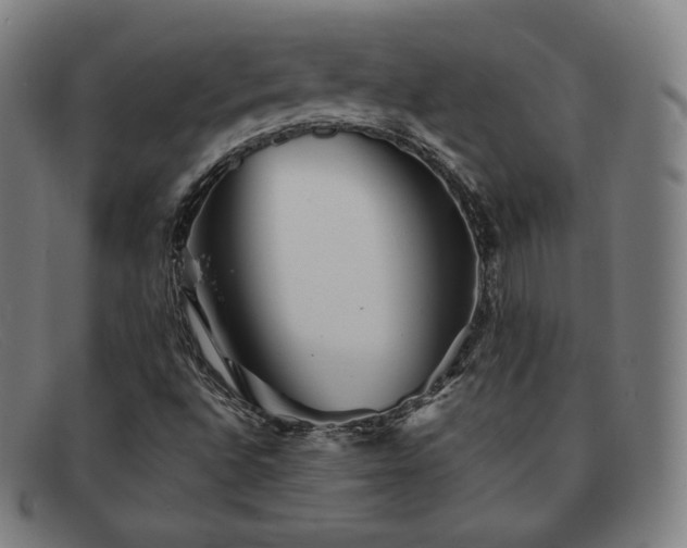 X0000091891496200709121429