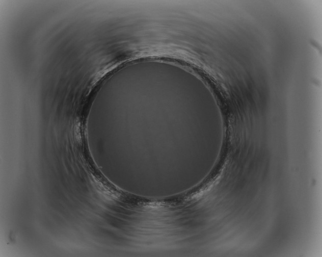 X0000091891497200709121429
