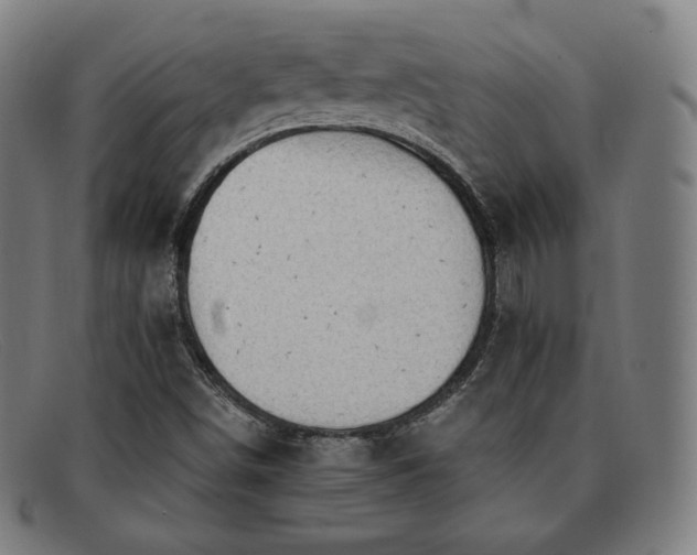 X0000091891498200709121429