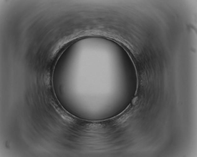 X0000091891499200709121429