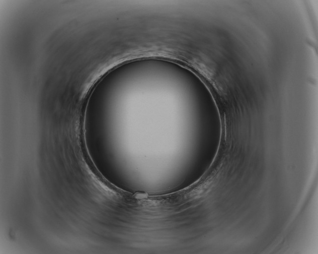 X0000091891500200709121429