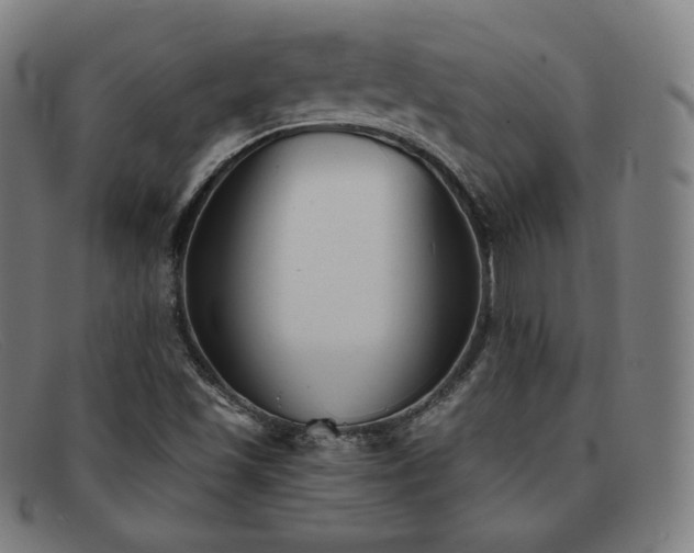 X0000091891501200709121429