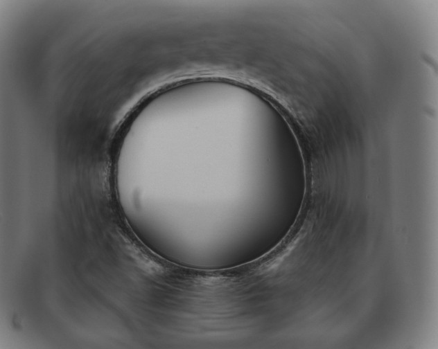 X0000091891502200709121429