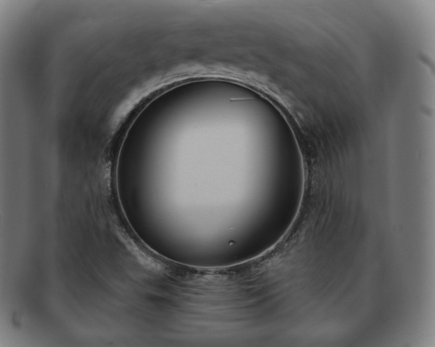 X0000091891503200709121429
