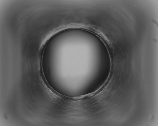 X0000091891504200709121429