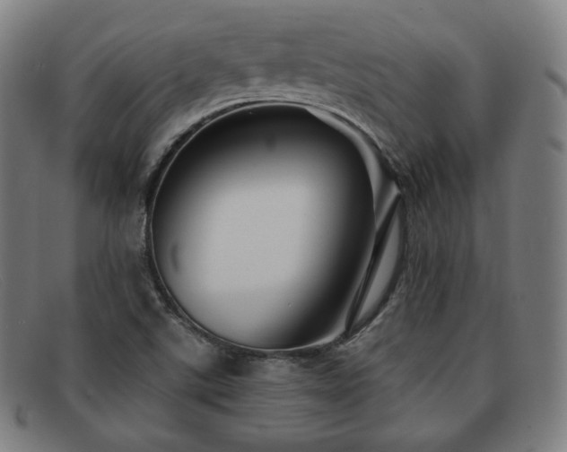 X0000091891507200709121430