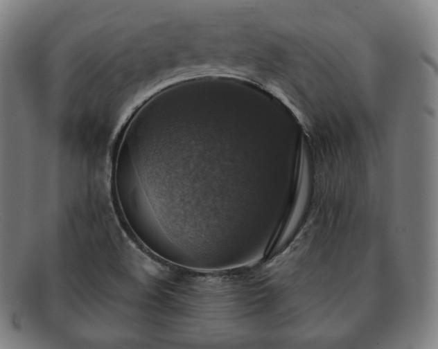 X0000091891508200709121430