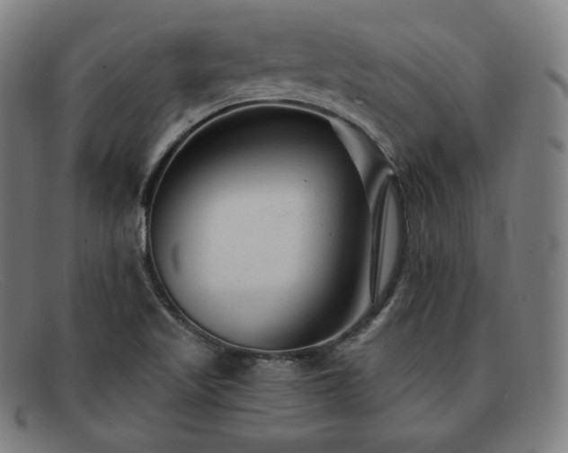 X0000091891509200709121430