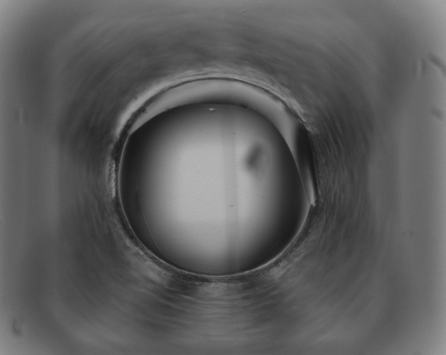 X0000091891510200709121430