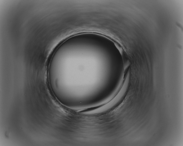 X0000091891511200709121430