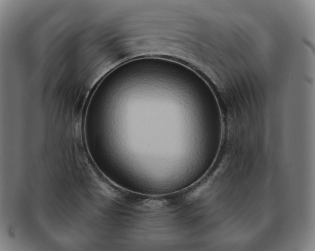 X0000091891513200709121430