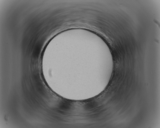X0000091891514200709121430