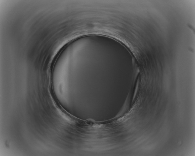 X0000091891515200709121430