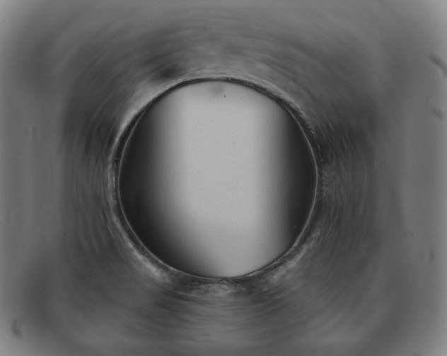 X0000091891517200709121430