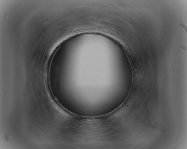 X0000091891518200709121430