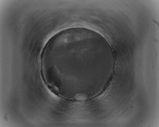 X0000091891519200709121430