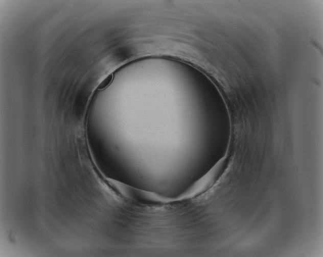 X0000091891521200709121430