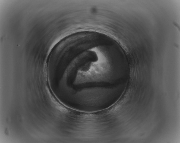 X0000091891522200709121430