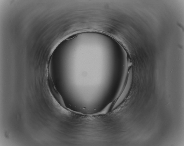 X0000091891524200709121430