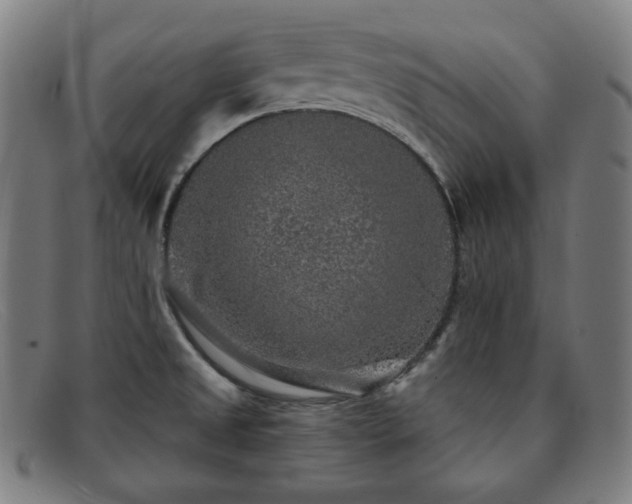 X0000091891525200709121430