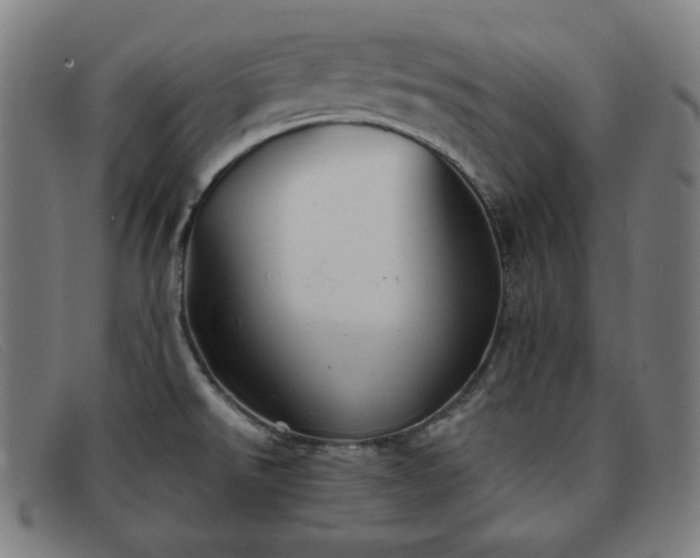 X0000091891526200709121430