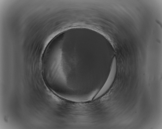 X0000091891527200709121430