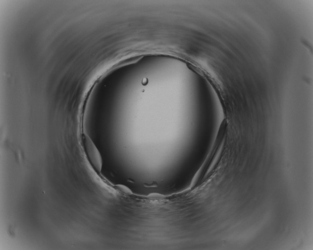 X0000091891528200709121430