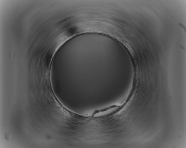 X0000091891529200709121430