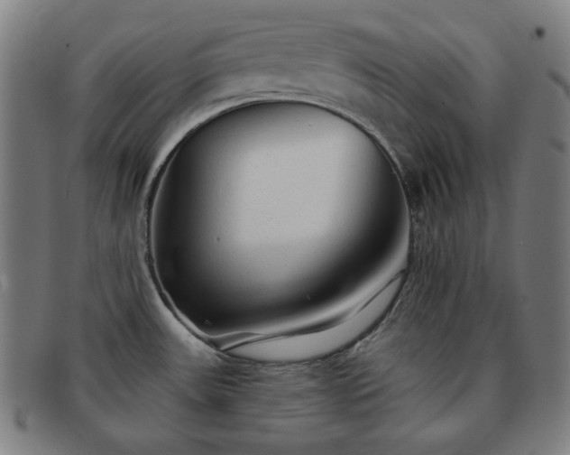 X0000091891531200709121430