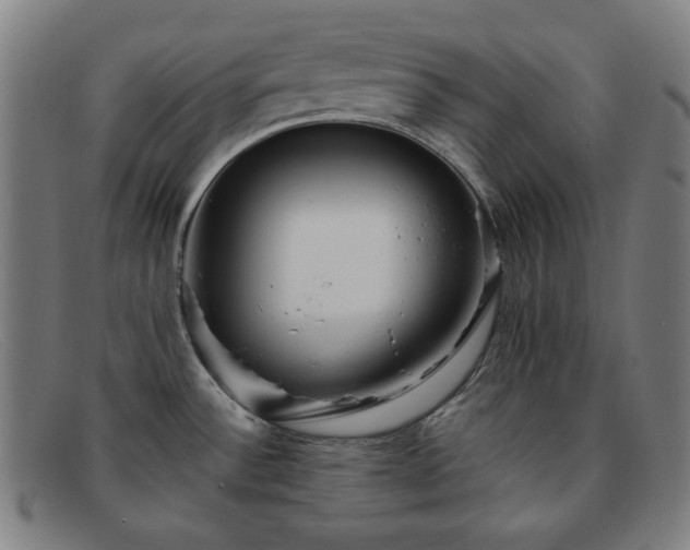 X0000091891532200709121430