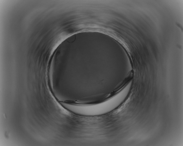 X0000091891533200709121430