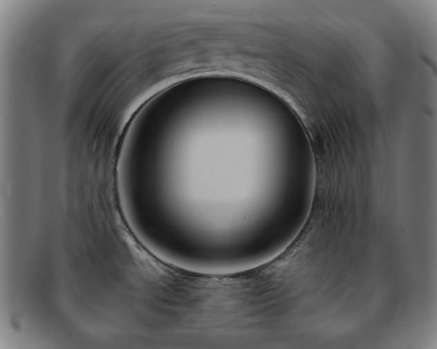 X0000091891534200709121430