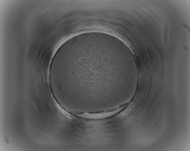 X0000091891535200709121430