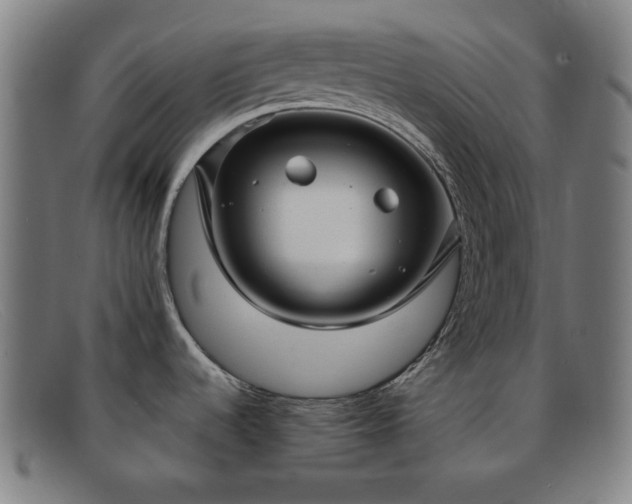 X0000091891536200709121430