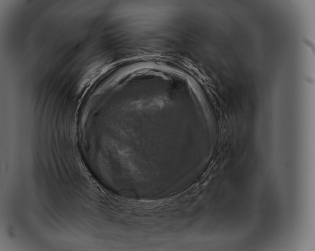 X0000091890002200709191226