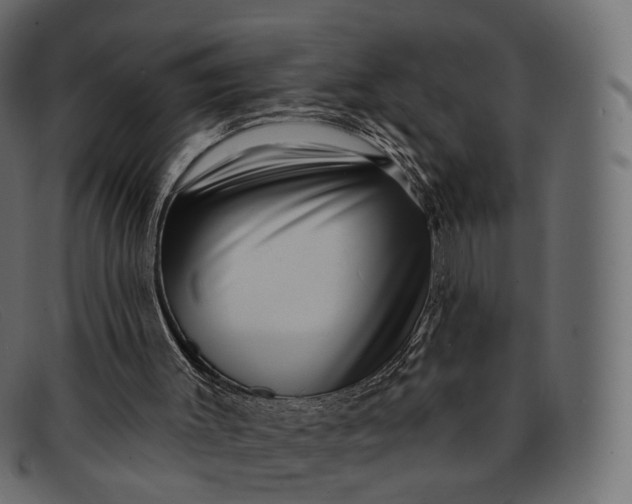 X0000091890003200709191226