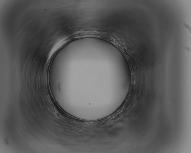 X0000091890004200709191226