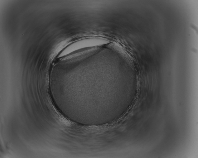 X0000091890005200709191226