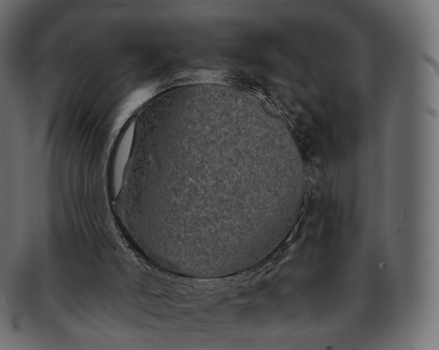 X0000091890006200709191226