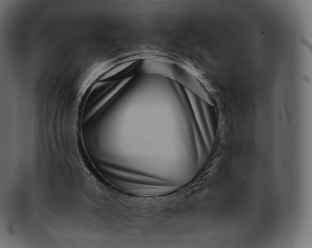 X0000091890007200709191226