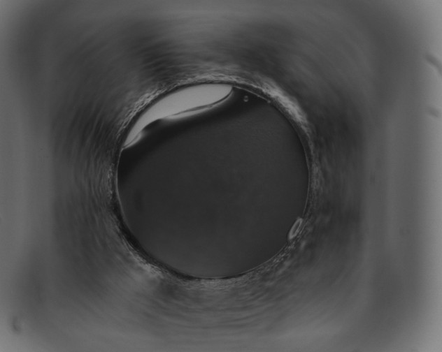 X0000091890009200709191226