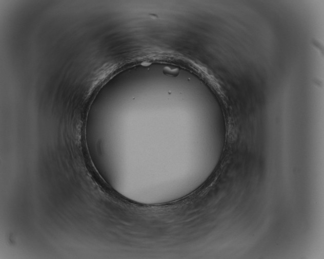 X0000091890010200709191226