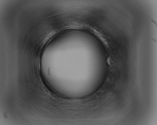 X0000091890011200709191226